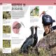 Behind the Scenes at the Zoo Preview 3