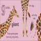G is for Giraffe Preview 4