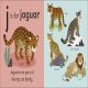 J is for Jaguar Preview 2