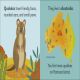 Q is for Quokka Preview 1