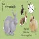 R is for Rabbit Preview 1