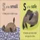 S is for Seal Preview 2