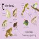 T is for Toad Preview 1