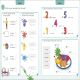 French for Everyone Junior 5 Words a Day Preview 2