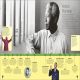Timelines from Black History Preview 2