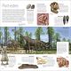 Dinosaur Preview 2