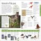 The New Children's Encyclopedia Preview 3