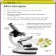 Super Simple Biology Revision Cards Key Stages 3 and 4 Preview 1