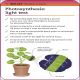 Super Simple Biology Revision Cards Key Stages 3 and 4 Preview 2
