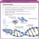 Super Simple Biology Revision Cards Key Stages 3 and 4 Preview 3