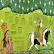 Timelines from Indian History Preview 2