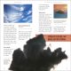 Tornadoes Preview 2