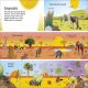 1000 Words: Nature Preview 3