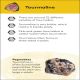 Rocks and Minerals Flash Cards Preview 3