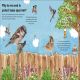 Rory the Garden Bird Preview 3