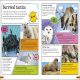 DKFindout! Arctic and Antarctic Preview 2