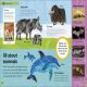 The Very Hungry Caterpillar's Very First Animal Encyclopedia Preview 2