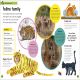 The Very Hungry Caterpillar's Very First Animal Encyclopedia Preview 3