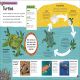 The Very Hungry Caterpillar's Very First Animal Encyclopedia Preview 4