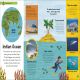 The Very Hungry Caterpillar's Very First Ocean Encyclopedia Preview 1