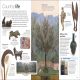Ancient Rome Preview 3