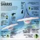 Our World in Numbers Animals Preview 2