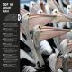 Our World in Numbers Animals Preview 4