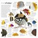 Fish Preview 1