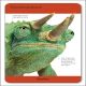 Our World in Pictures Animals of the World Flash Cards Preview 2