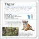 Our World in Pictures Animals of the World Flash Cards Preview 4