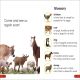 DK Super Readers Pre-Level Farm Animals Preview 3