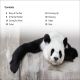 DK Super Readers Level 2 The Great Panda Tale Preview 1