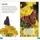 DK Super Readers Level 3 Animal Hide and Seek Preview 3