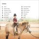 DK Super Readers Level 1 Ponies and Horses Preview 1