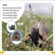 DK Super Readers Level 2 Animals at Home Preview 2
