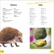 DK Super Readers Level 2 Animals at Home Preview 3