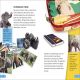 DK Super Readers Level 4 Hope for the Elephants Preview 2