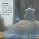 DK Super Readers Level 1 Star Wars Grogu's Galaxy Preview 2
