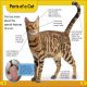 DK Super Readers Level 2 Cats and Kittens Preview 2