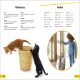 DK Super Readers Level 2 Cats and Kittens Preview 3
