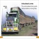 DK Super Readers Level 1 Big Trucks Preview 2
