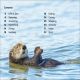 DK Super Readers Level 1 Sea Otters Preview 1