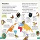 DK Super Readers Level 3 Poisonous and Venomous Animals Preview 2