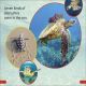 DK Super Readers Pre-Level Save the Sea Turtles Preview 1