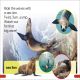 DK Super Readers Pre-Level Ocean Animals Preview 2