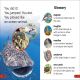 DK Super Readers Pre-Level Ocean Animals Preview 3