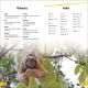 DK Super Readers Level 2 Sloths Preview 3