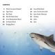 DK Super Readers Level 4 Shark: Apex Predator Preview 1