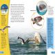 DK Super Readers Level 4 Shark: Apex Predator Preview 2