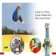 DK Super Readers Pre-Level Amusement Park Preview 2